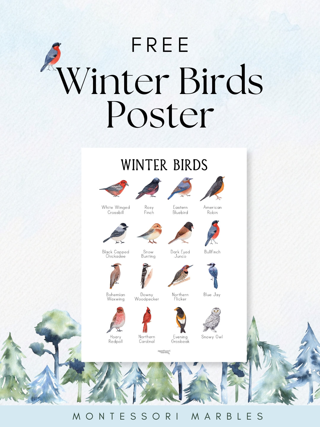 Winter Birds Poster