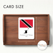 Load image into Gallery viewer, North America Fact Cards

