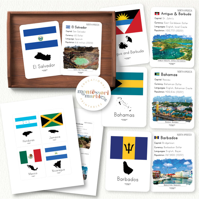 North America Fact Cards