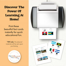 Load image into Gallery viewer, North America Fact Cards
