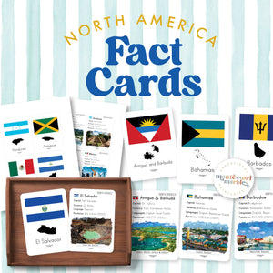 North America Fact Cards