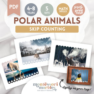 Polar Animals Skip Counting