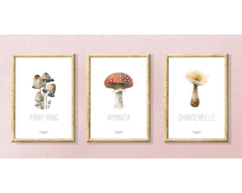 Mushroom Picture Binder