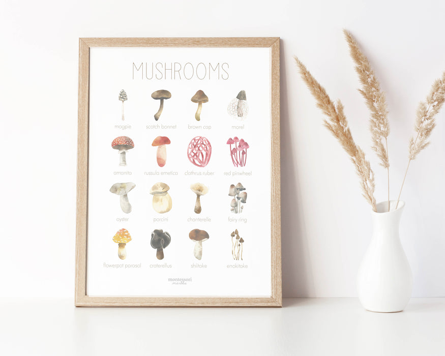Mushroom Picture Binder