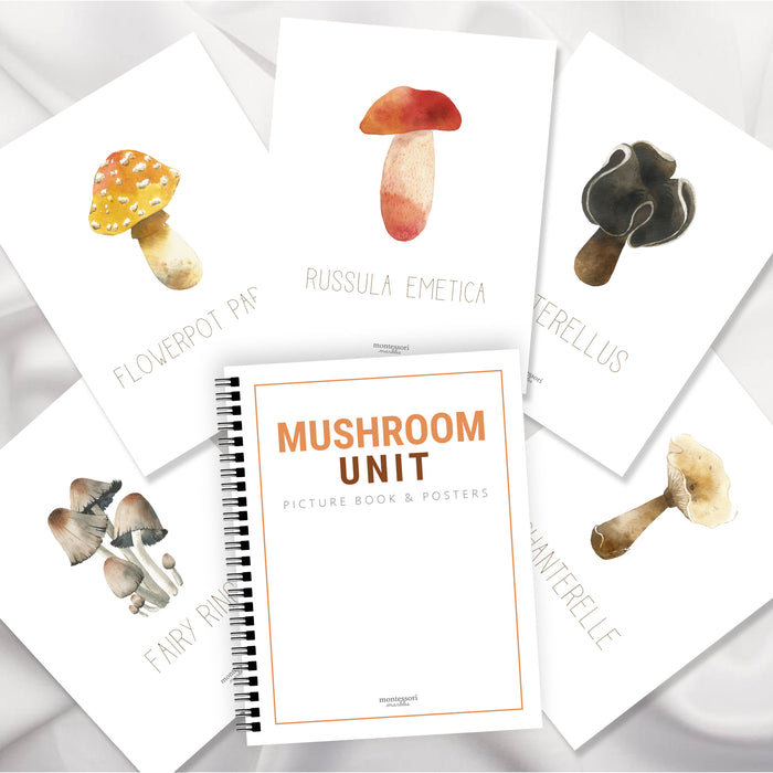 Mushroom Picture Binder