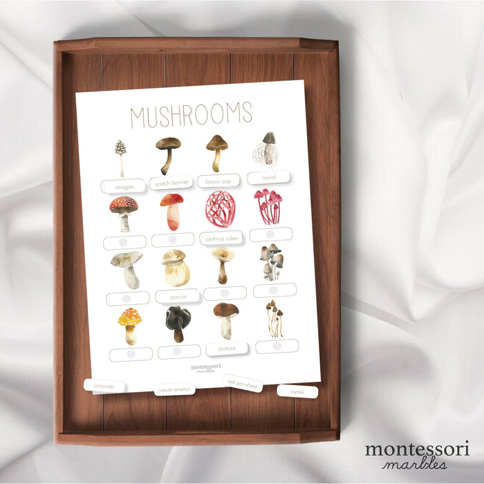 Mushroom Picture Binder