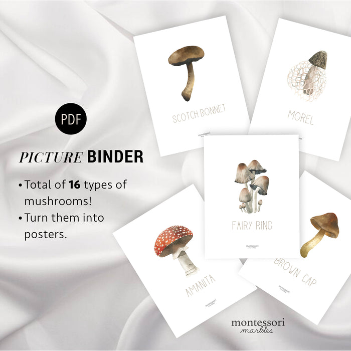 Mushroom Picture Binder
