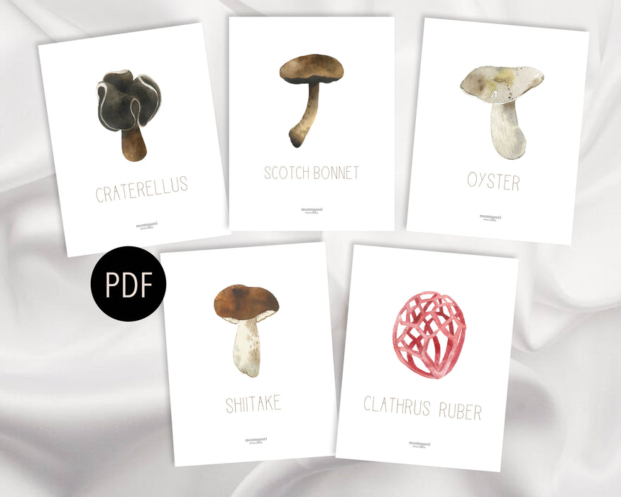 Mushroom Picture Binder