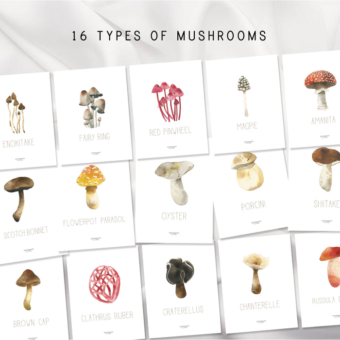 Mushroom Picture Binder