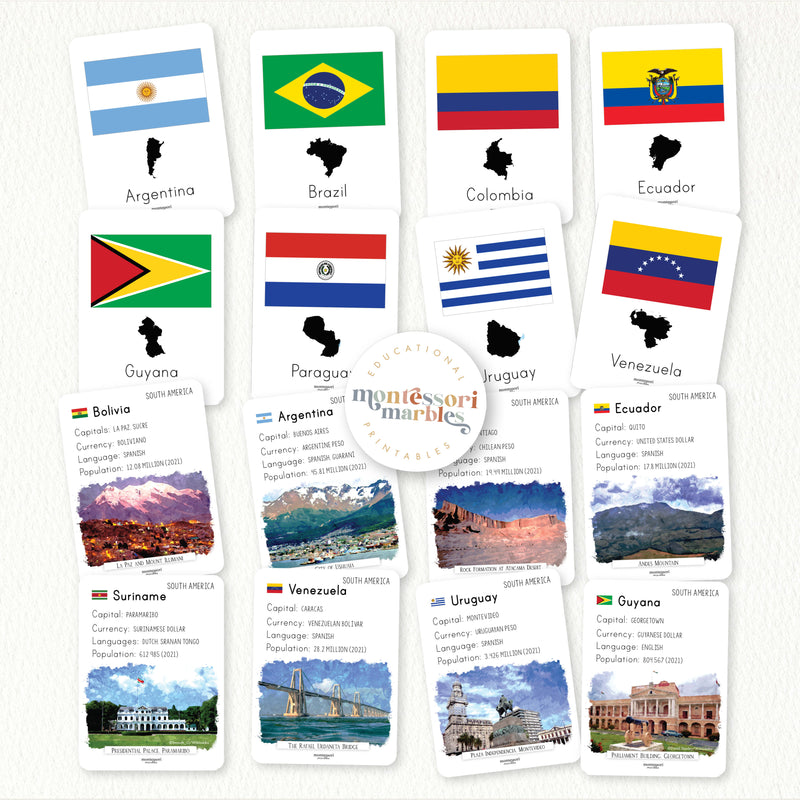 Continental Fact Cards Bundle