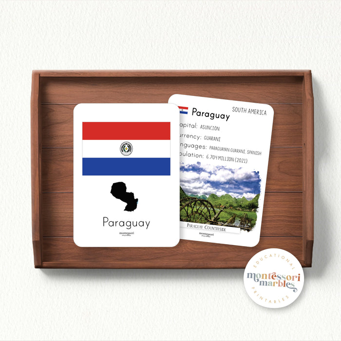 South America Fact Cards