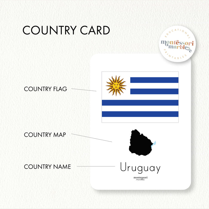 South America Fact Cards