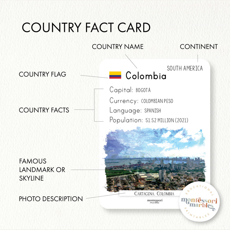 South America Fact Cards