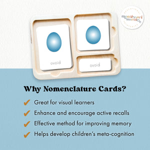 Geometric 3D Shapes Nomenclature Cards