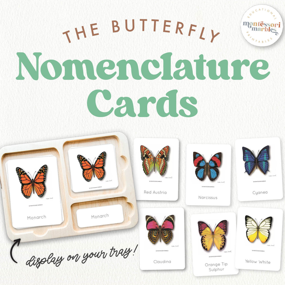 Butterfly Nomenclature Cards | 20 Sets 3-Part Insects Ages 4-8 Spring ...