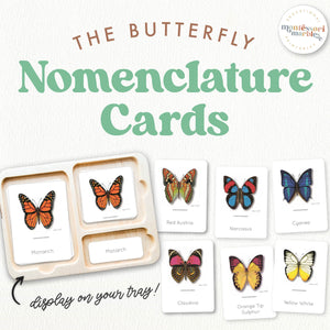 Butterfly Montessori Nomenclature Cards