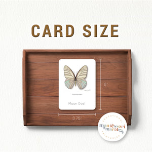 Butterfly Montessori Nomenclature Cards