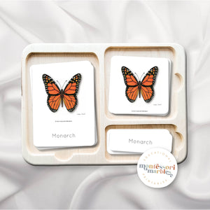 Butterfly Montessori Nomenclature Cards