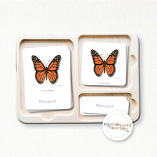 Load image into Gallery viewer, Butterfly Montessori Nomenclature Cards
