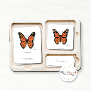 Butterfly Montessori Nomenclature Cards