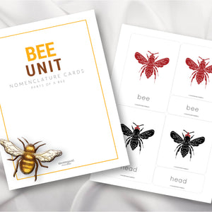 Parts of a Bee Nomenclature Cards