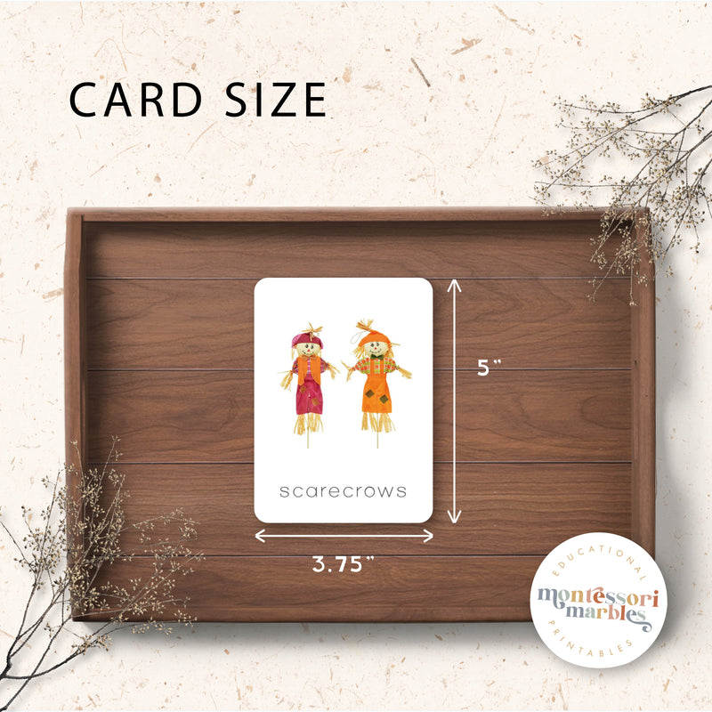 Fall Nomenclature Cards