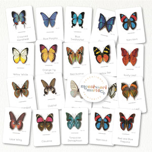 Butterfly Montessori Nomenclature Cards