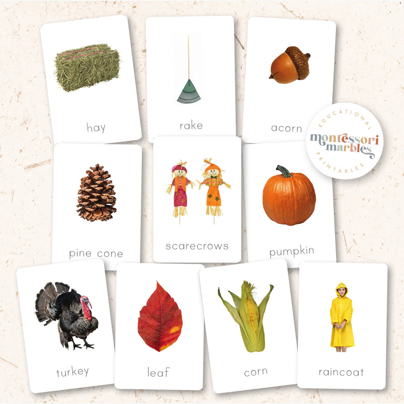 Fall Nomenclature Cards