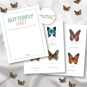 Butterfly Montessori Nomenclature Cards