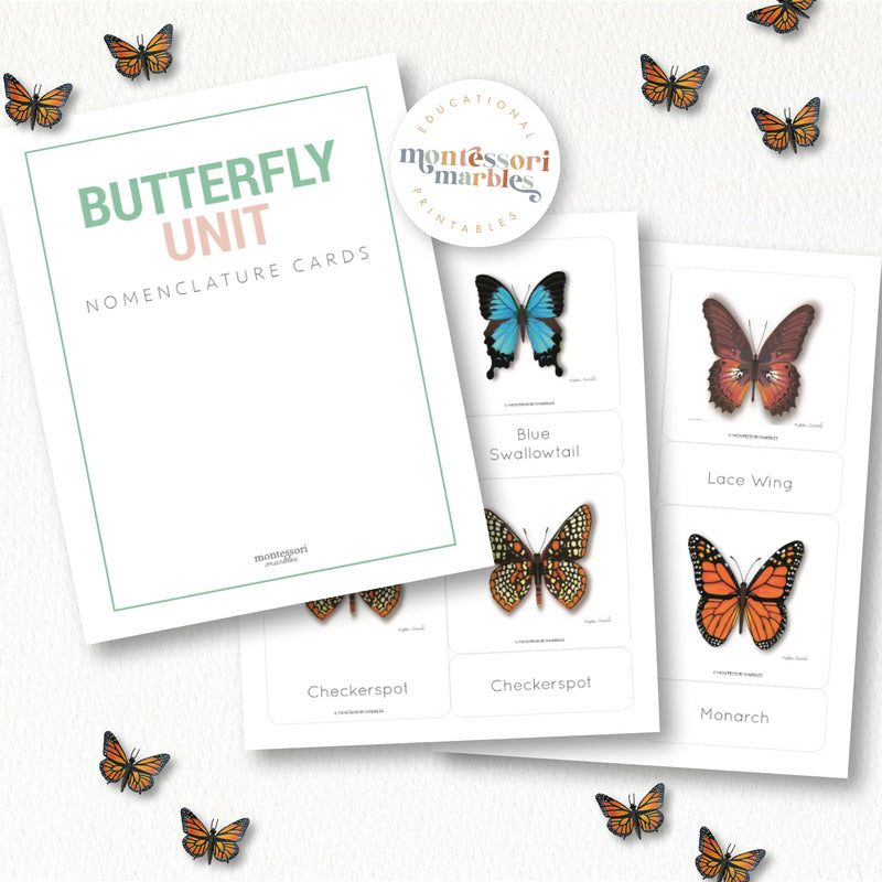 Butterfly Nomenclature Cards