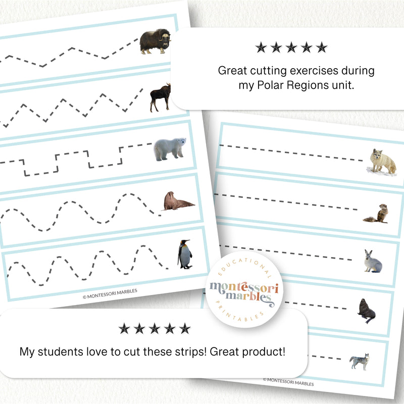 Polar Animals Cutting Strips