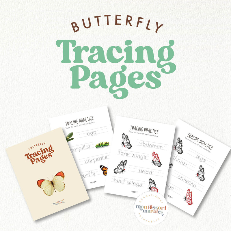 Butterfly handwriting line-tracing pages for print and cursive practice