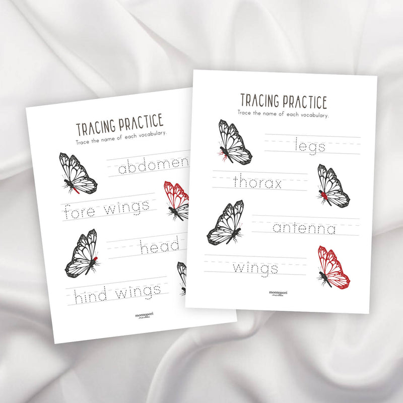 Butterfly Tracing Pages
