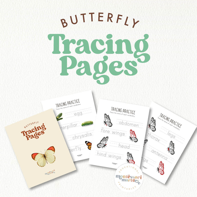 Butterfly Tracing Pages