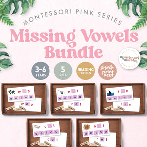 Montessori Pink Series Missing Vowels Bundle