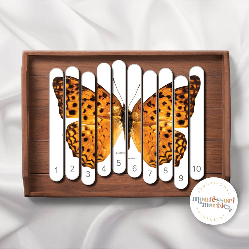 Butterfly Skip Counting