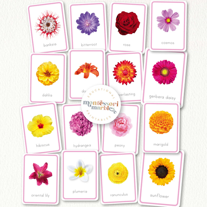 Flowers Flash Cards