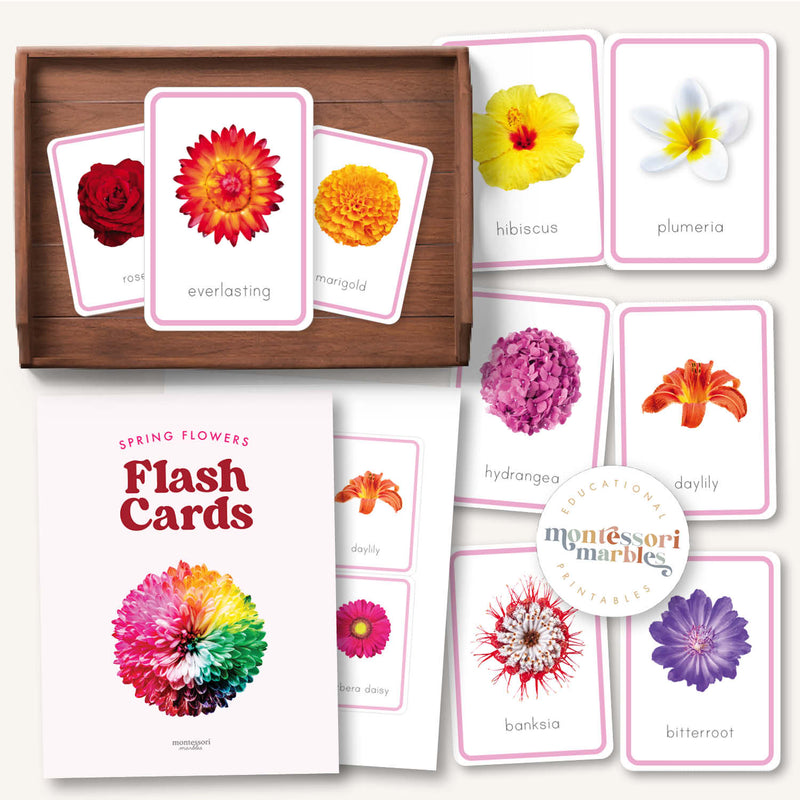 Flowers Flash Cards