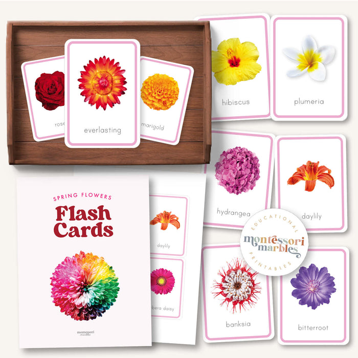 Flowers Flash Cards