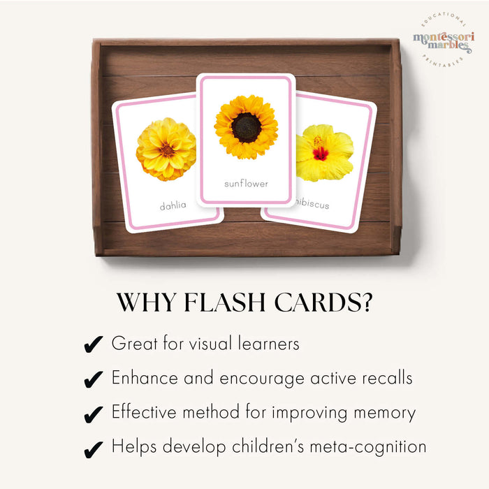 Flowers Flash Cards