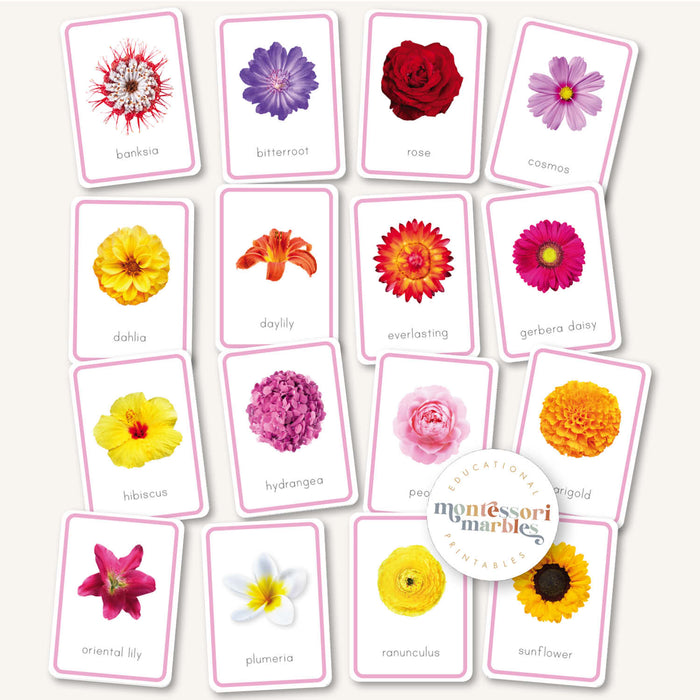 Flowers Flash Cards