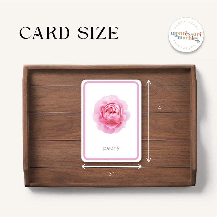 Flowers Flash Cards
