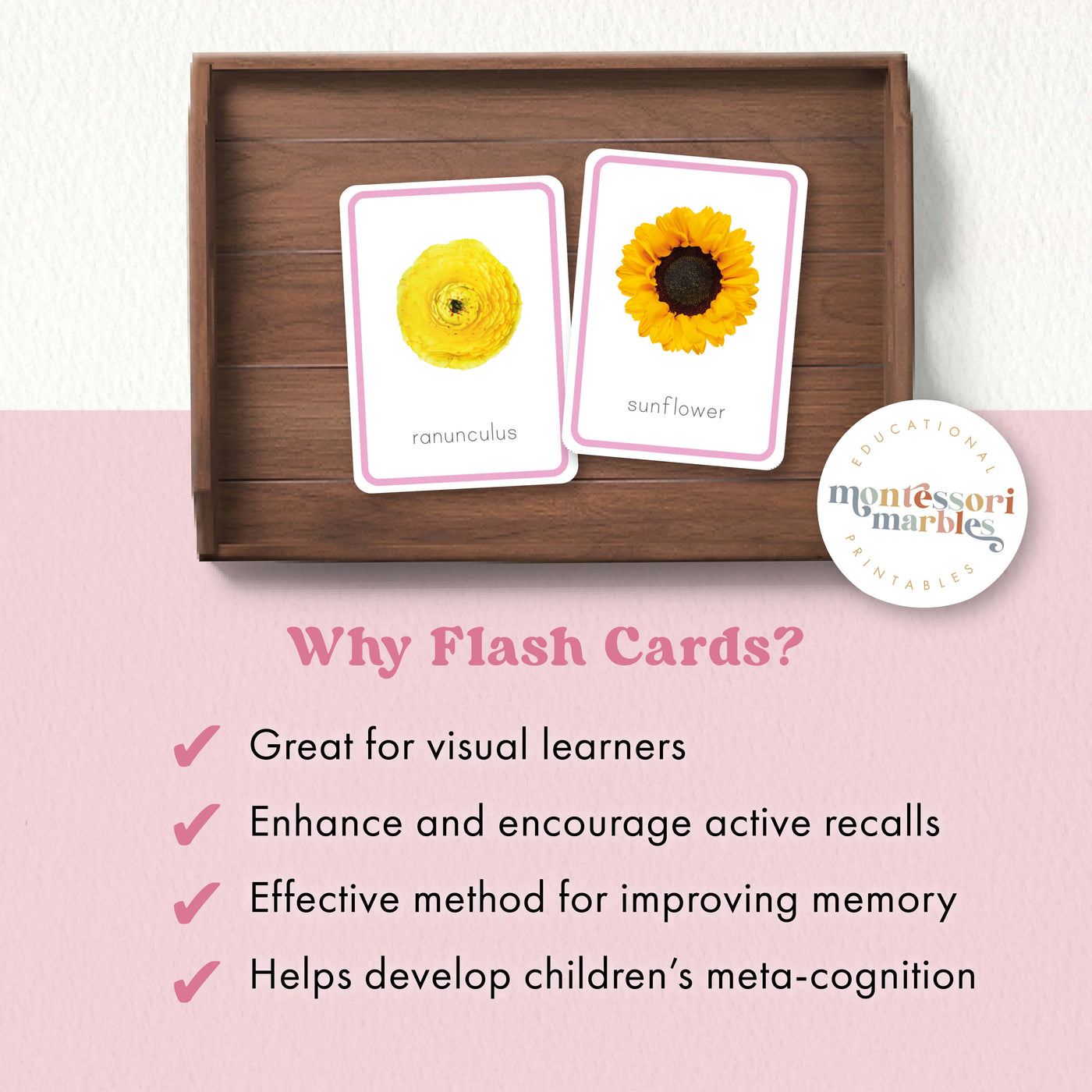 Flowers Flash Cards | 16 Spring Garden Vocabulary Cards Ages 2-5 PDF ...
