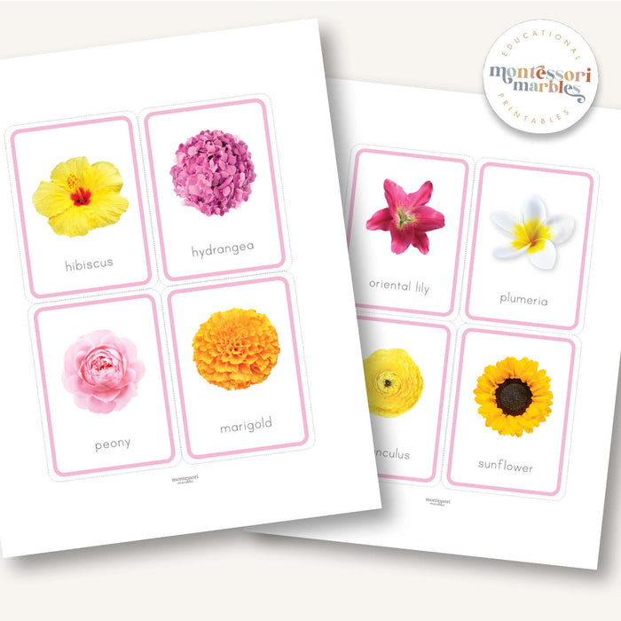 Flowers Flash Cards