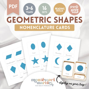 Geometric Shapes Nomenclature Cards