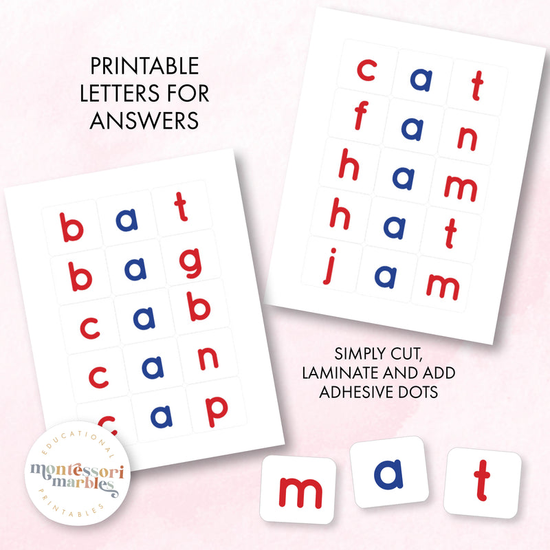 Montessori Pink Series Jumbled Words for Short "A"