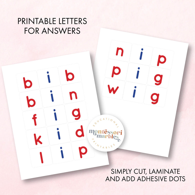 Montessori Pink Series Jumbled Words for Short "I"