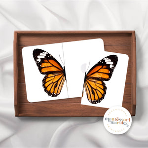 Butterfly Symmetry Puzzles