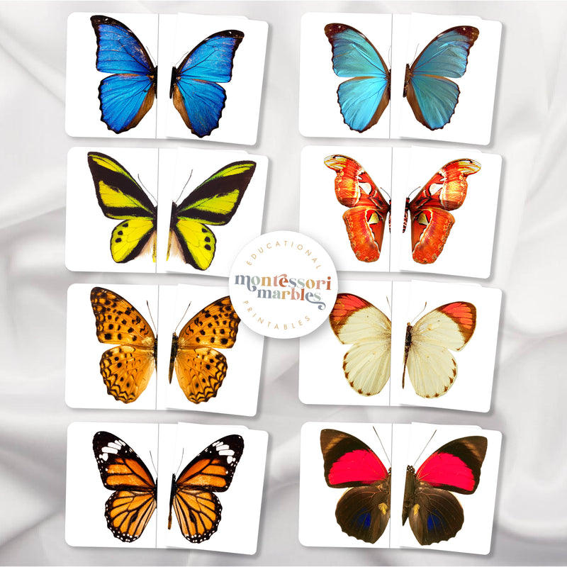 Butterfly Mini Bundle