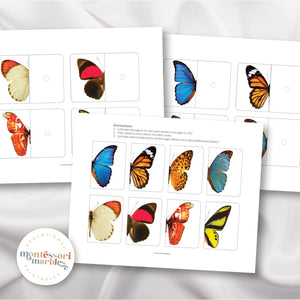 Butterfly Symmetry Puzzles